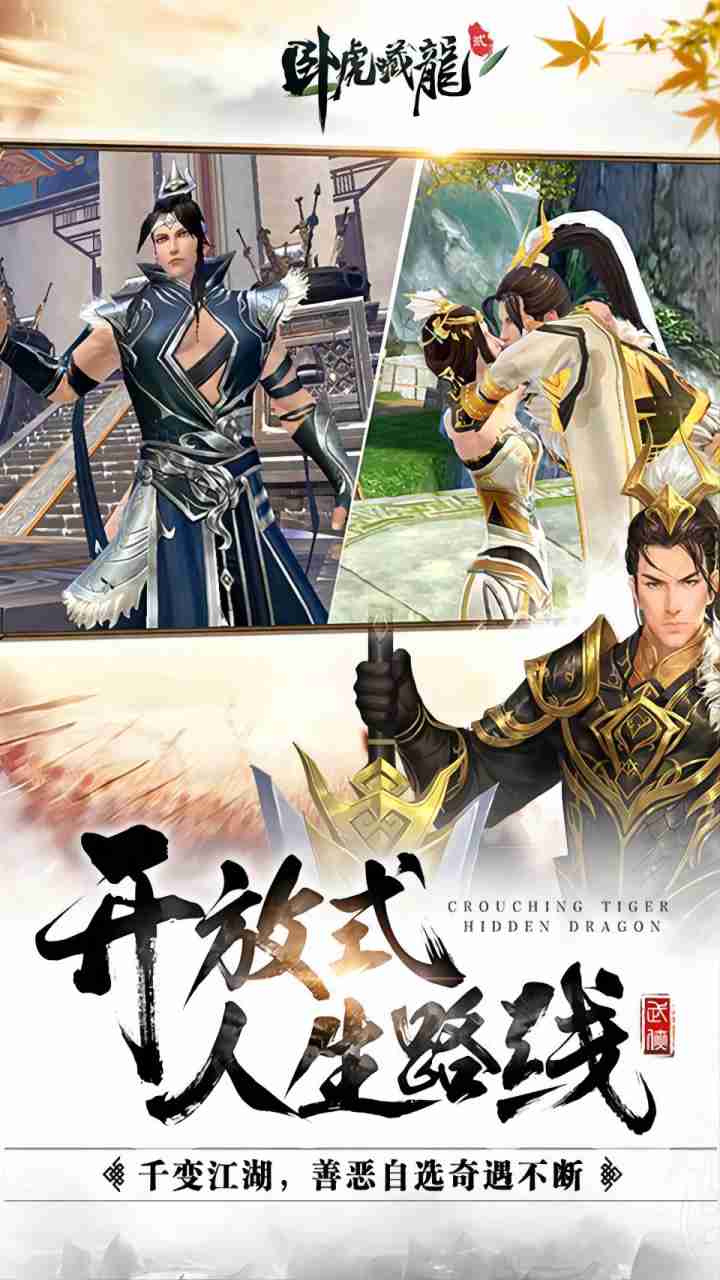 卧虎藏龙贰(新版)预览图